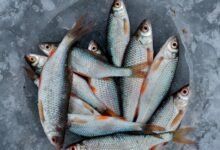 cracked stream 2 0 valuation