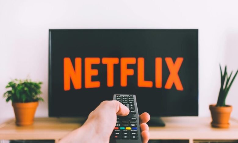 s flix streaming service success