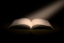 exploring erotic literature themes