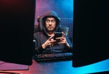 exploring online culture dynamics