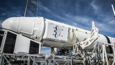 next big online service