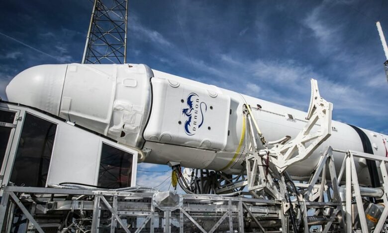 next big online service