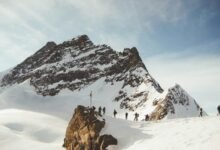 investigate contact number activity