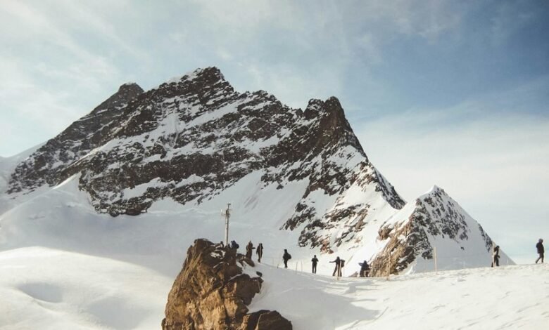 investigate contact number activity