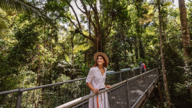 The Best Ways To Experience The Reef And Rainforest In Cairns