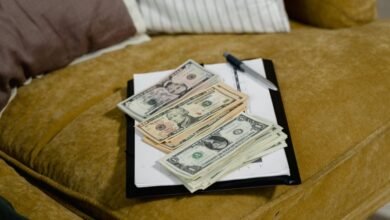 contact information for council