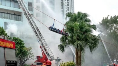 telecom security contact numbers