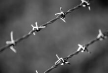 telecom security division contacts