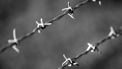 telecom security division contacts