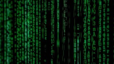 data analysis for identifiers