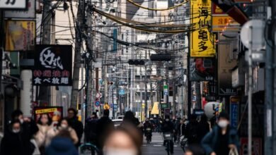 market analysis and trends