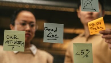 organizational insights for identification