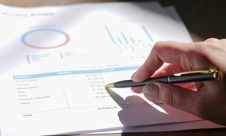 professional assessment summary report