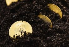 advanced digital system growth