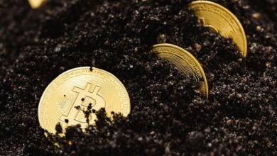 advanced digital system growth