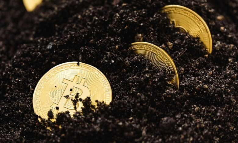 advanced digital system growth