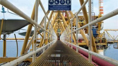 professional digital platform growth 8002263954