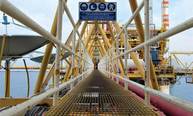 professional digital platform growth 8002263954