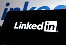 professional internet platform stability 6024288083