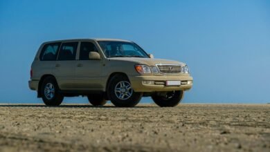 reliable digital architecture for stability