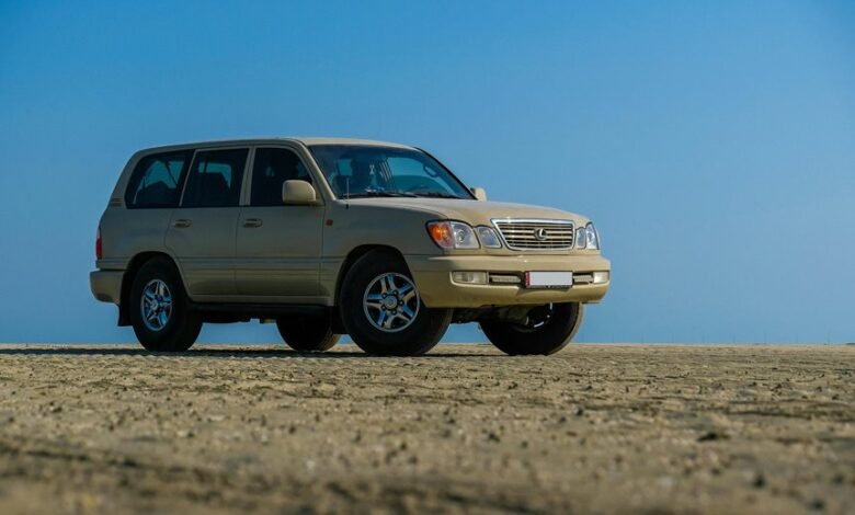 reliable digital platform stability 650861542